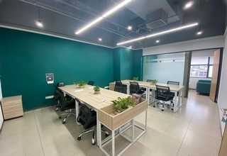 通海水培食用菌直销价格