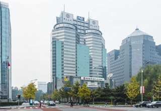 河南植物元素测试一般多少钱