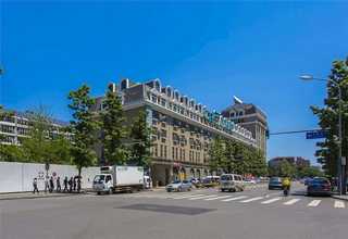 浙江省定制塑料绿植厂